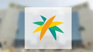 نجاح كبير.. مؤشرات الأداء تكشف فاعلية الضمان الاجتماعي الجديد في التمكين الاقتصادي